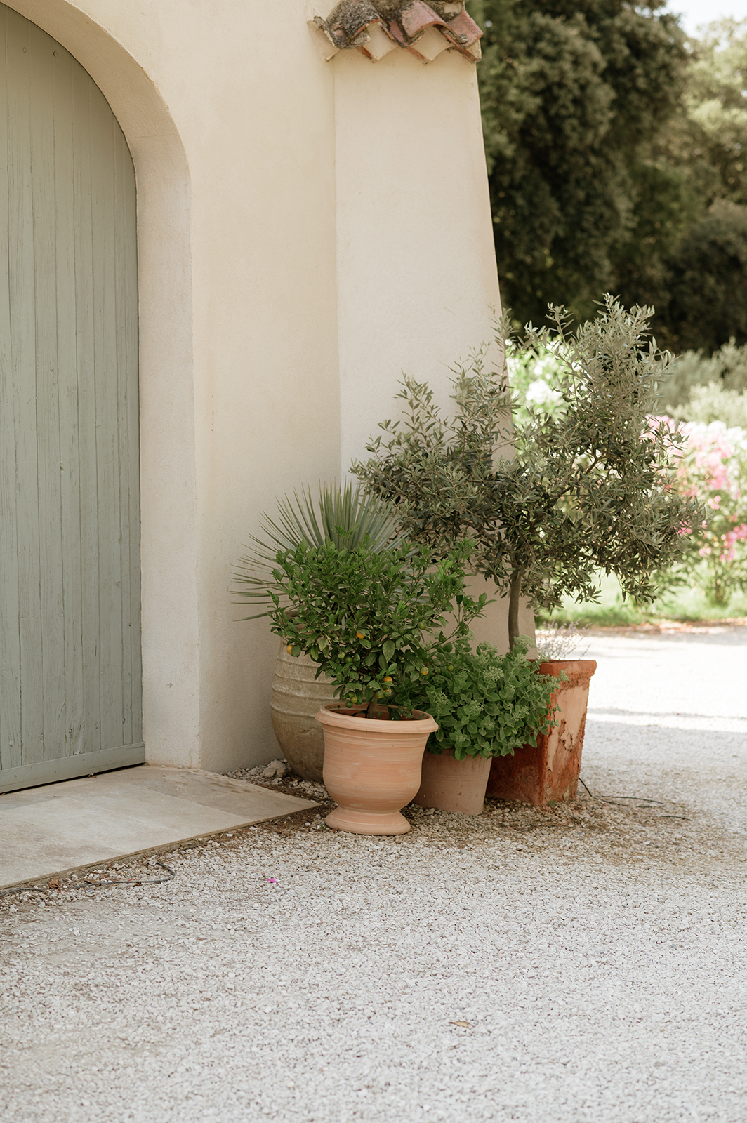 Mariage en Provence